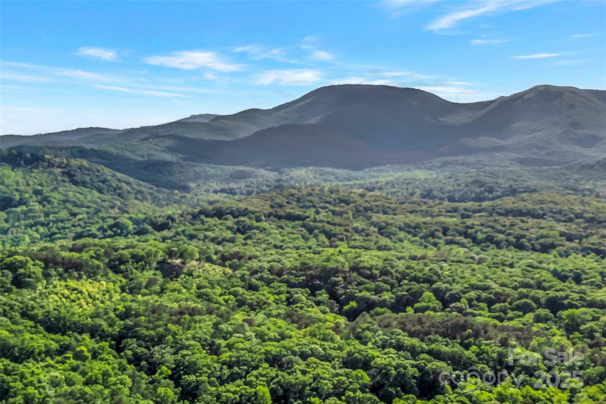 7 Hearthstone Lane Landrum, SC 29356 - Photo 39 of 43 a view of a mountain range with lush green forest