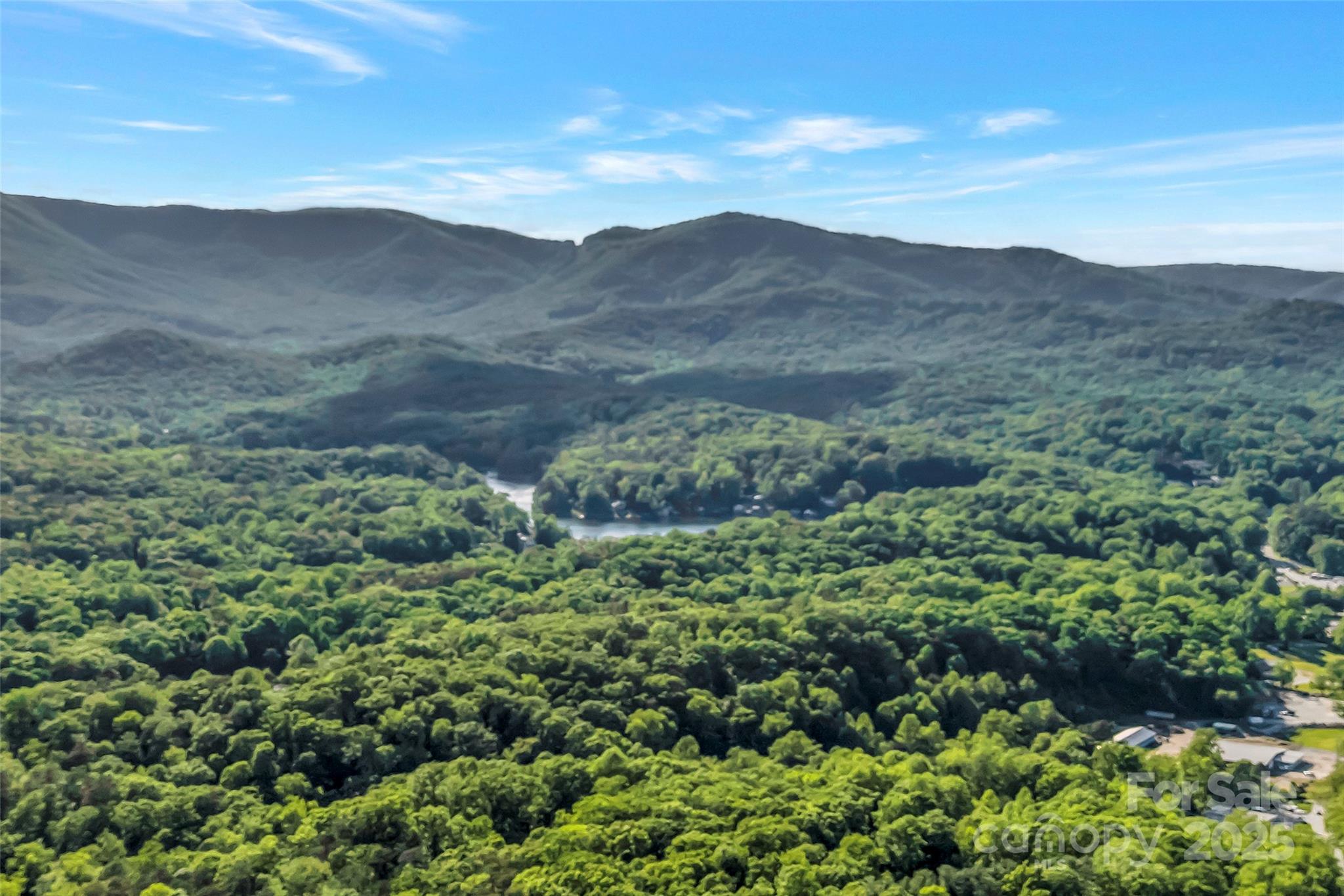 7 Hearthstone Lane Landrum, SC 29356 - Photo 40 of 43 a view of a mountain in the distance in a field