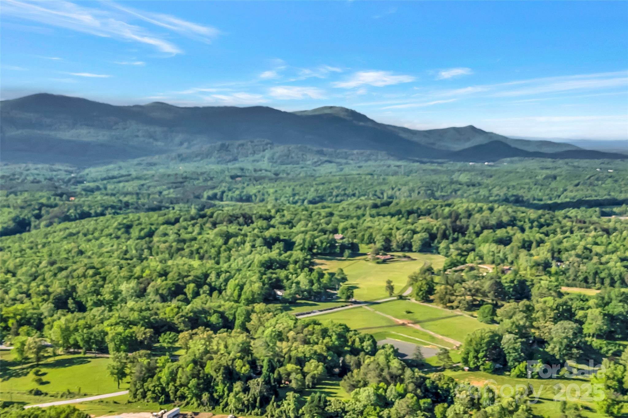 7 Hearthstone Lane Landrum, SC 29356 - Photo 41 of 43 a view of a lush green hillside and a houses