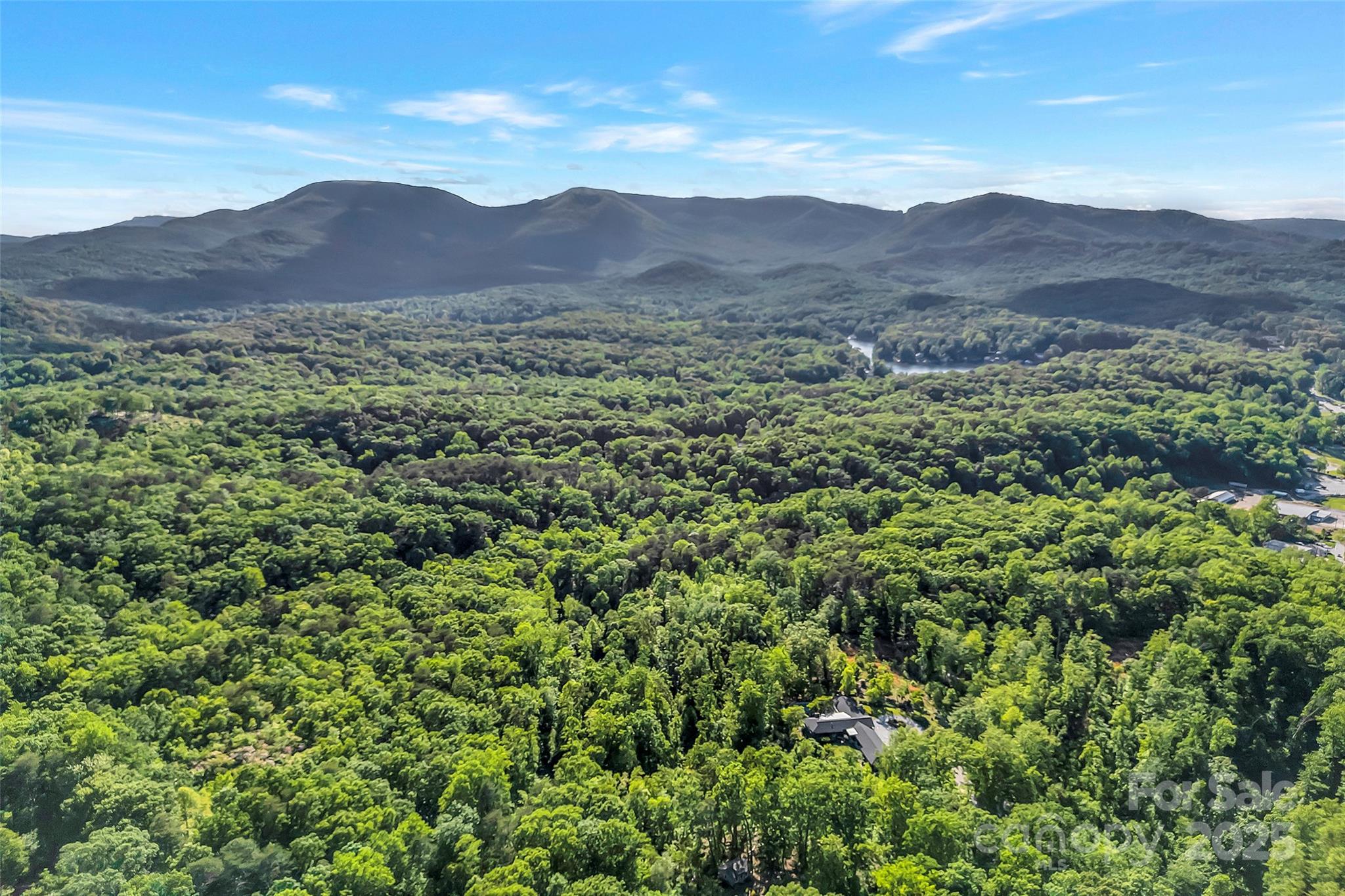 7 Hearthstone Lane Landrum, SC 29356 - Photo 42 of 43 a view of a forest with a mountain