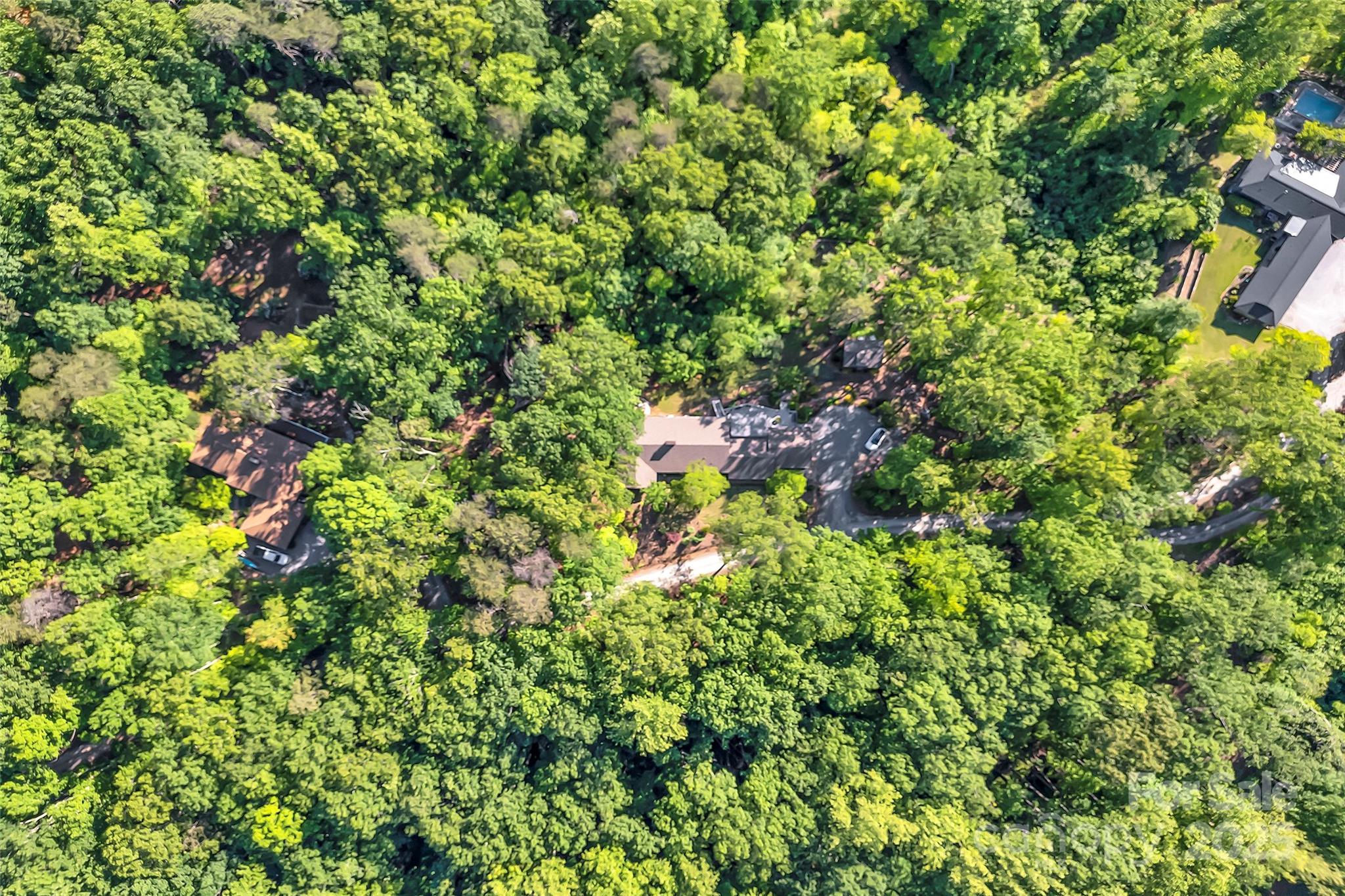 7 Hearthstone Lane Landrum, SC 29356 - Photo 43 of 43 a view of a lush green forest
