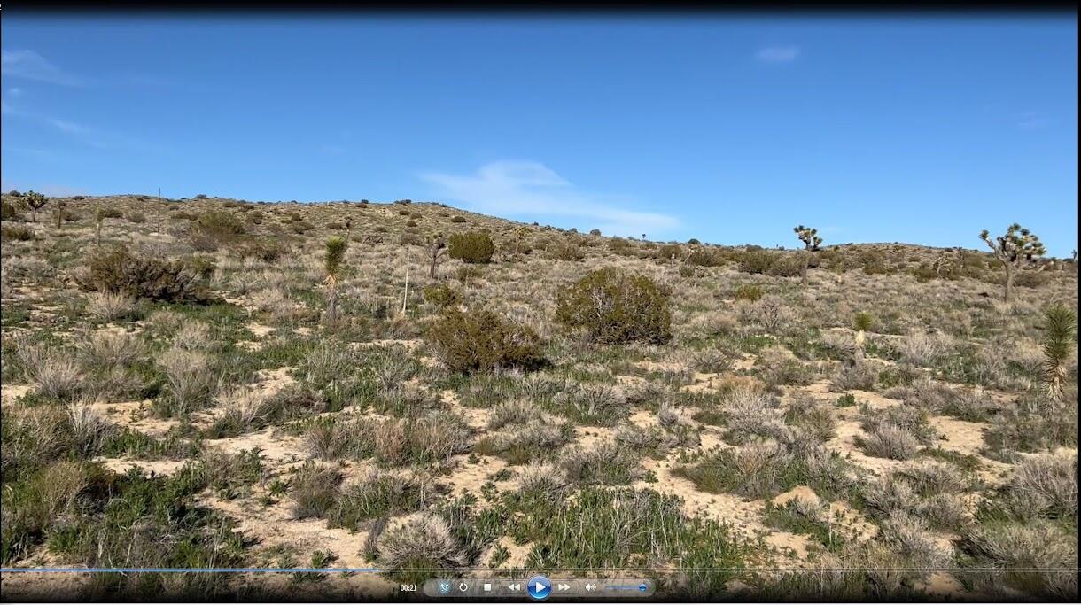 0 Fort Tejon Road Pearblossom, CA 93553 - Photo 20 of 24 fort tejon lot 22 desert bs