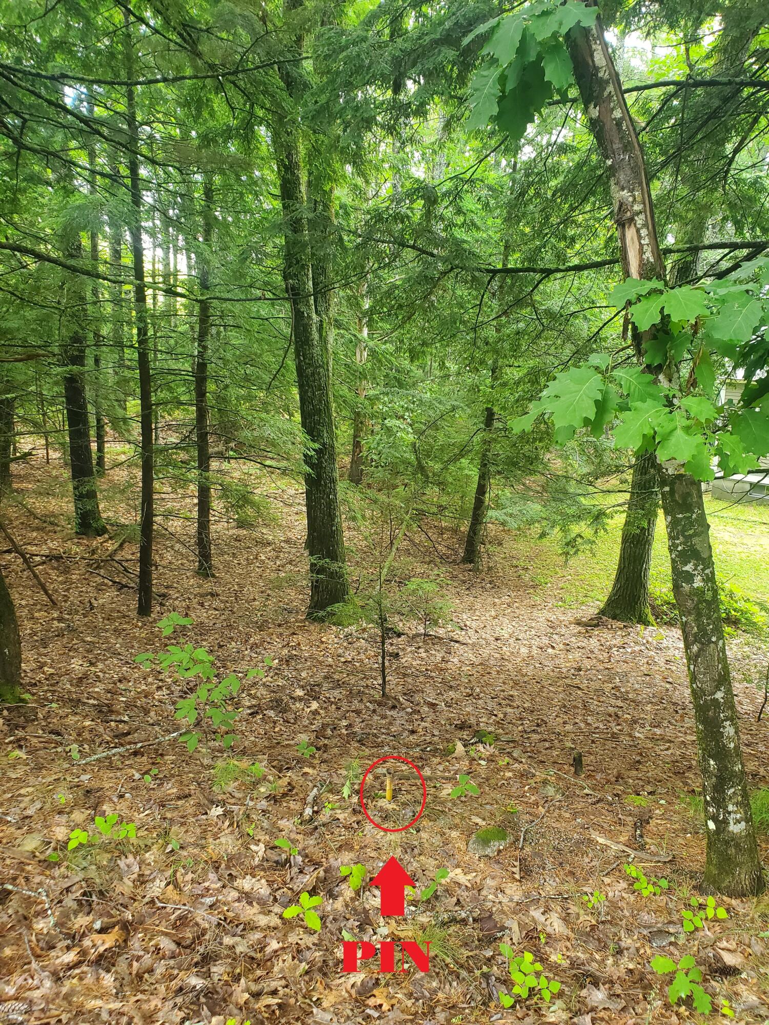 Lot #36 Beaver Brook Road Limerick, ME 04048 - Photo 17 of 18 Right boundary