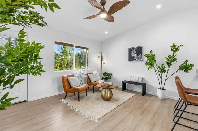 a living room with furniture and a potted plant