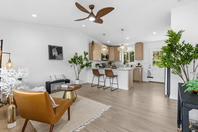 a living room with furniture and a potted plant