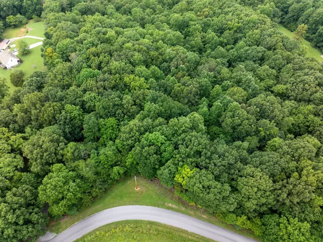 $69,900 | 0 Cedar Hill Road, Vanleer, TN 37181