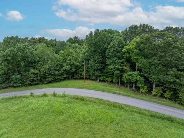 a view of a field of grass and trees