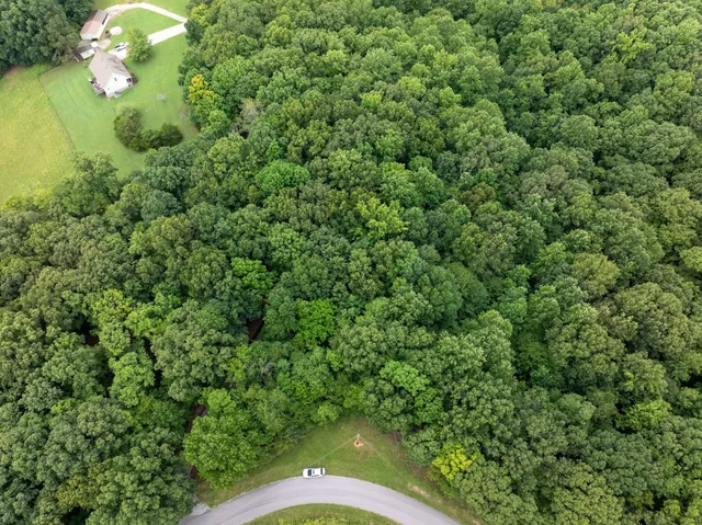a view of a field of grass and trees
