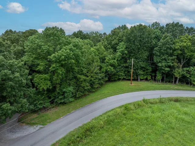 a view of field with tall trees