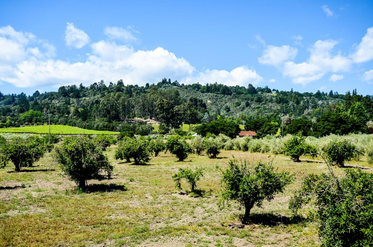 1583 Pleasant Valley Road Aptos, CA 95003 - Photo 33 of 66 Gallery Image 33