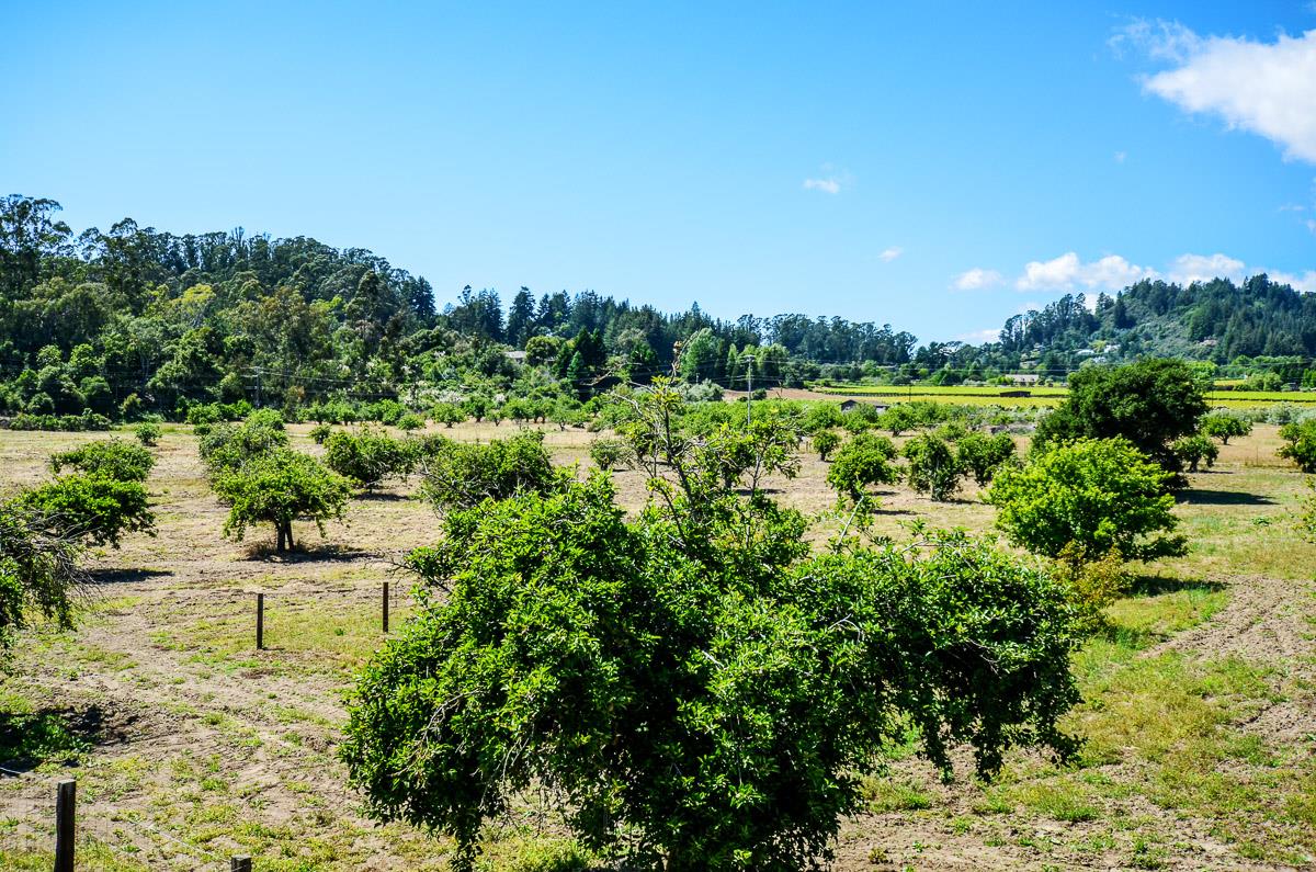 1583 Pleasant Valley Road Aptos, CA 95003 - Photo 34 of 66 Gallery Image 34