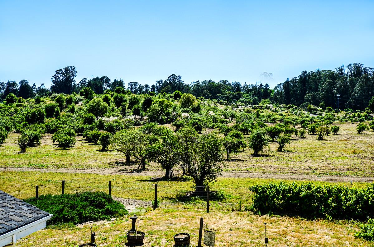 1583 Pleasant Valley Road Aptos, CA 95003 - Photo 36 of 66 Gallery Image 36