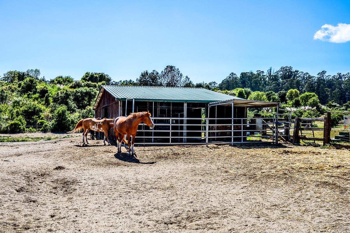 1583 Pleasant Valley Road Aptos, CA 95003 - Photo 39 of 66 Gallery Image 39