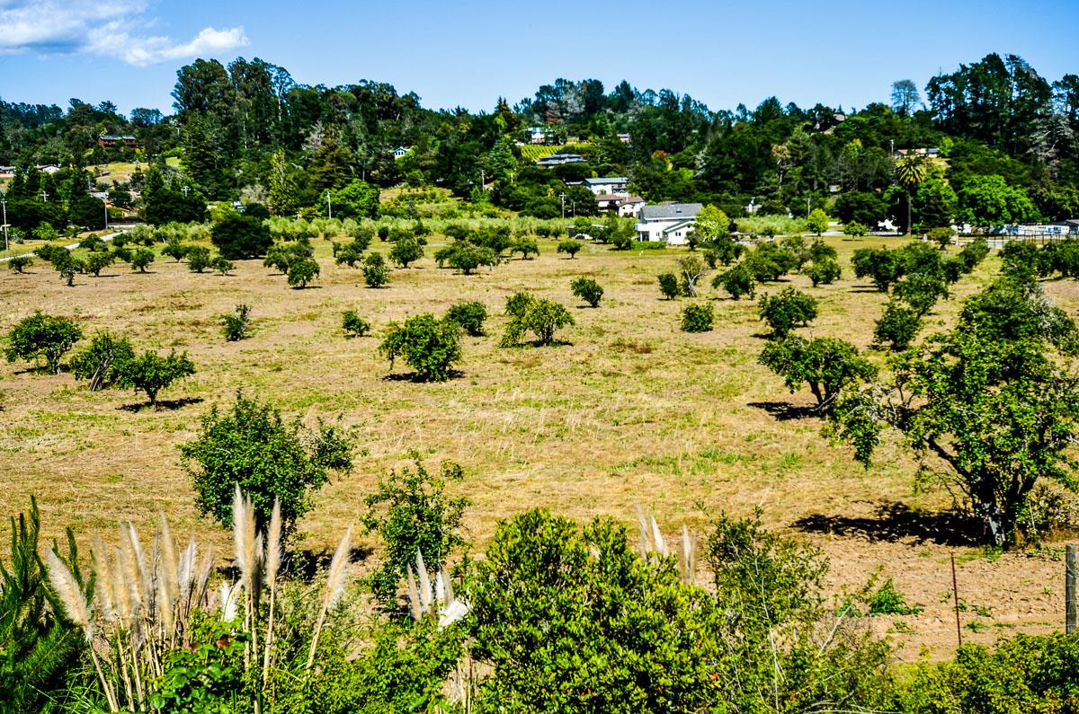 1583 Pleasant Valley Road Aptos, CA 95003 - Photo 47 of 66 Gallery Image 47