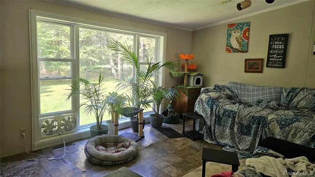a living room with furniture and a potted plant