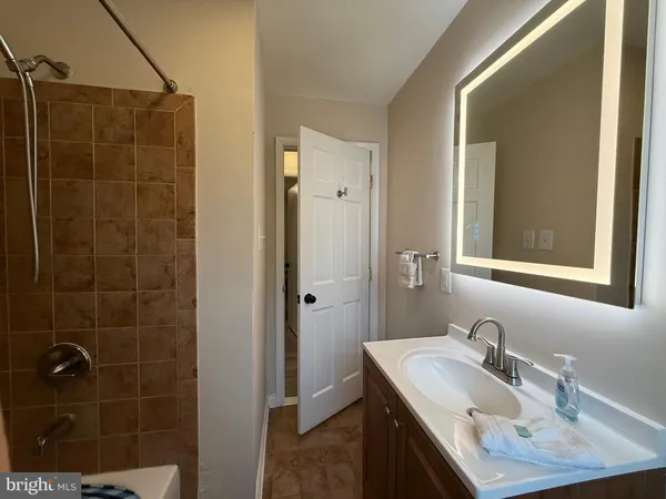a bathroom with a sink shower and a mirror