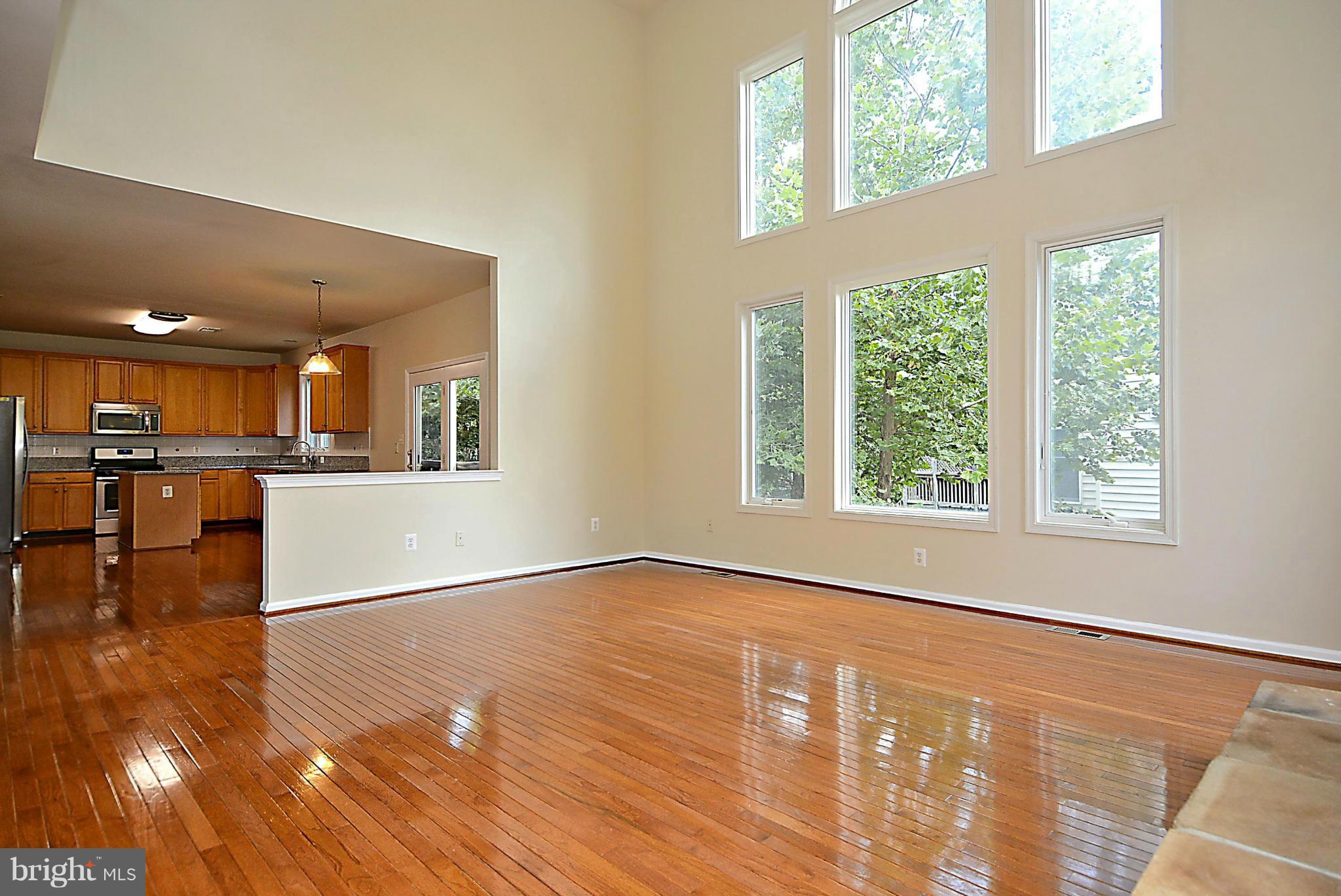 43641 Intrepid Street Chantilly, VA 20152 - Photo 12 of 30 Family Room
