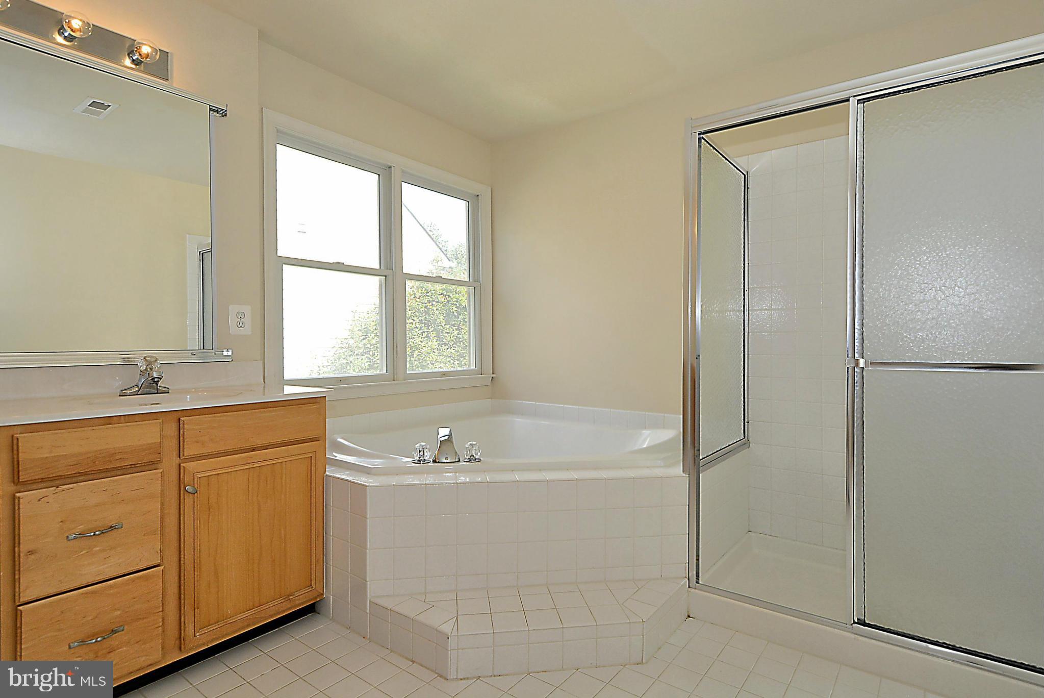 43641 Intrepid Street Chantilly, VA 20152 - Photo 23 of 30 Bath (Master)