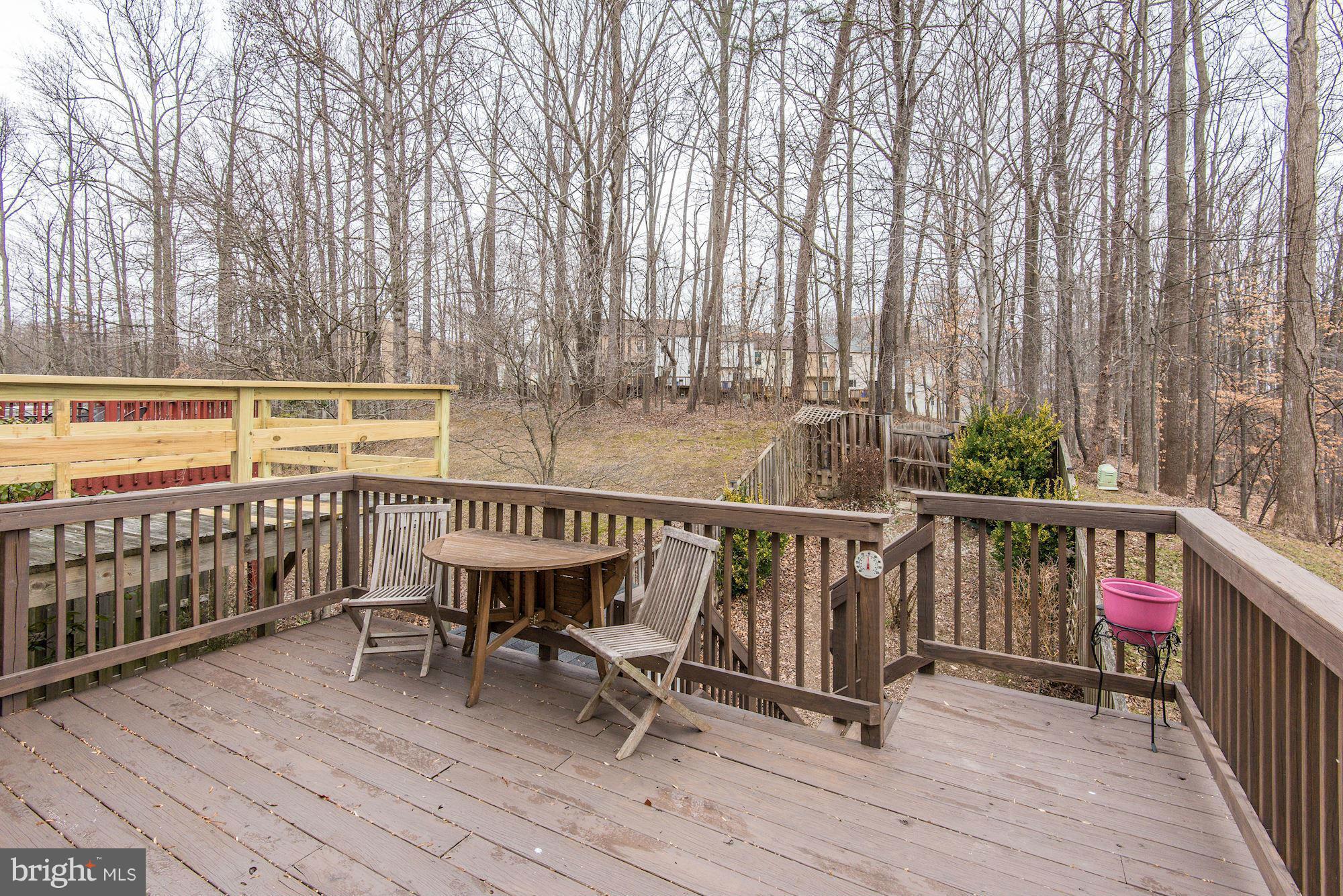 1357 Alderton Lane Silver Spring, MD 20906 - Photo 27 of 30 Exterior (Rear)
