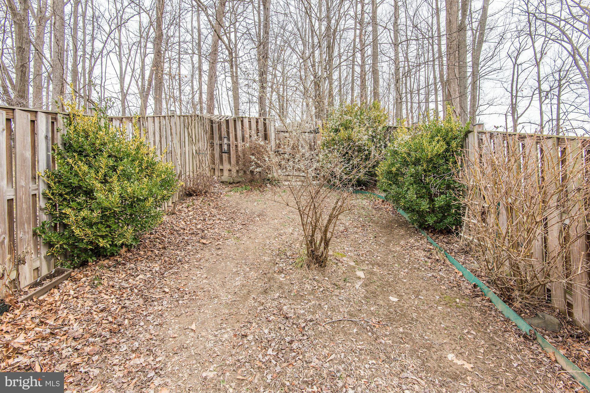 1357 Alderton Lane Silver Spring, MD 20906 - Photo 28 of 30 Exterior (Rear)