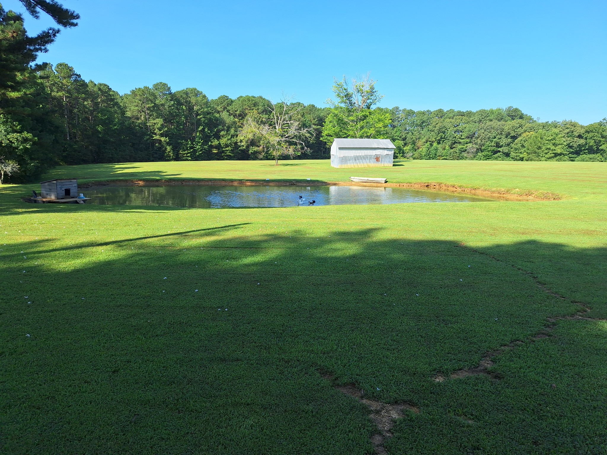 261 Debruce Road Camden, TN 38320 - Photo 7 of 26 Gallery Image 7