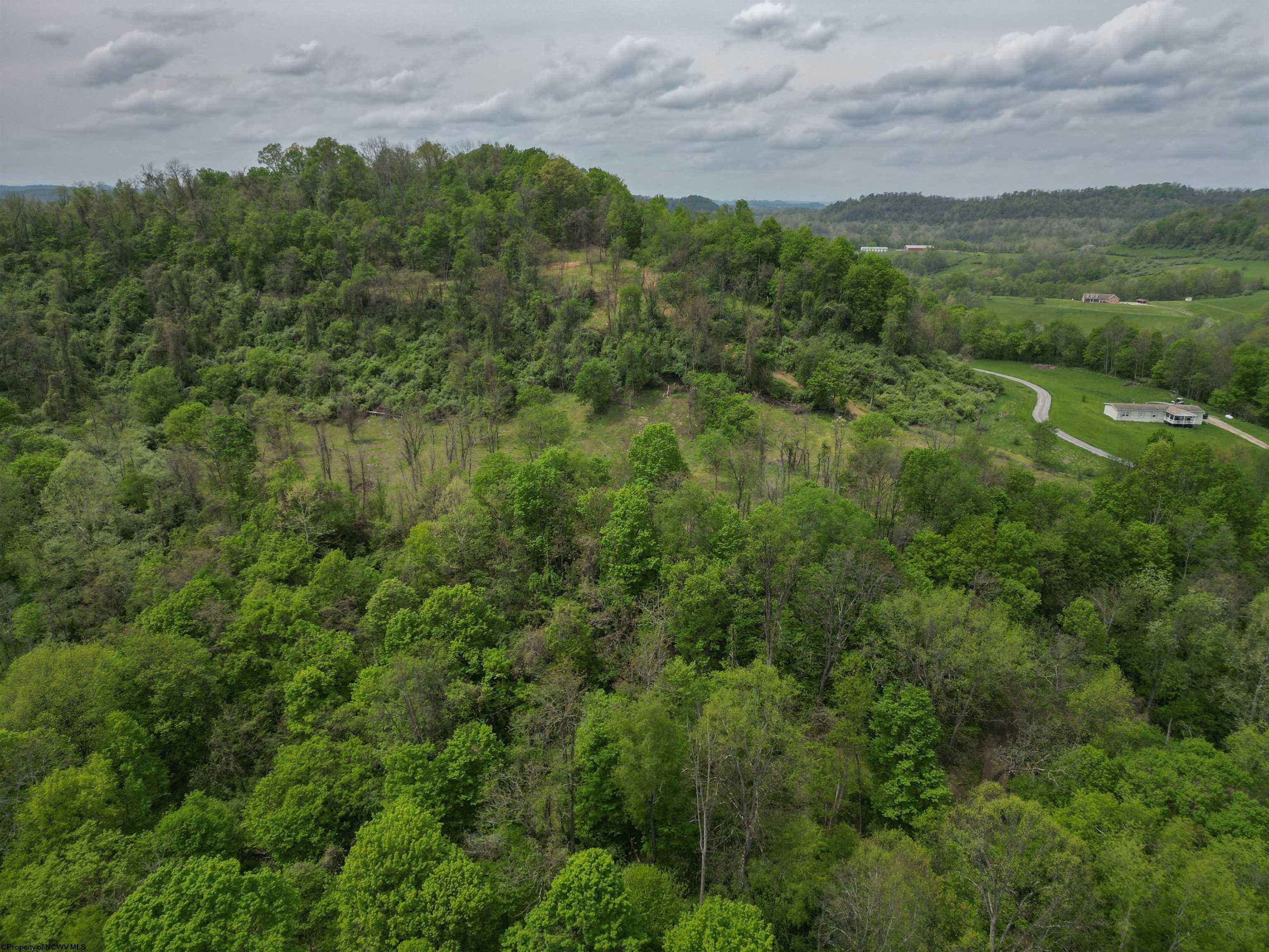 0 Green Valley Road Bridgeport, WV 26330 - Photo 1 of 12 Gallery Image 1