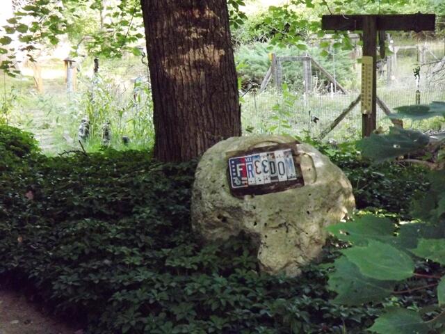 1908 South 186th Avenue Hesperia, MI 49421 - Photo 62 of 62 DSCF1812