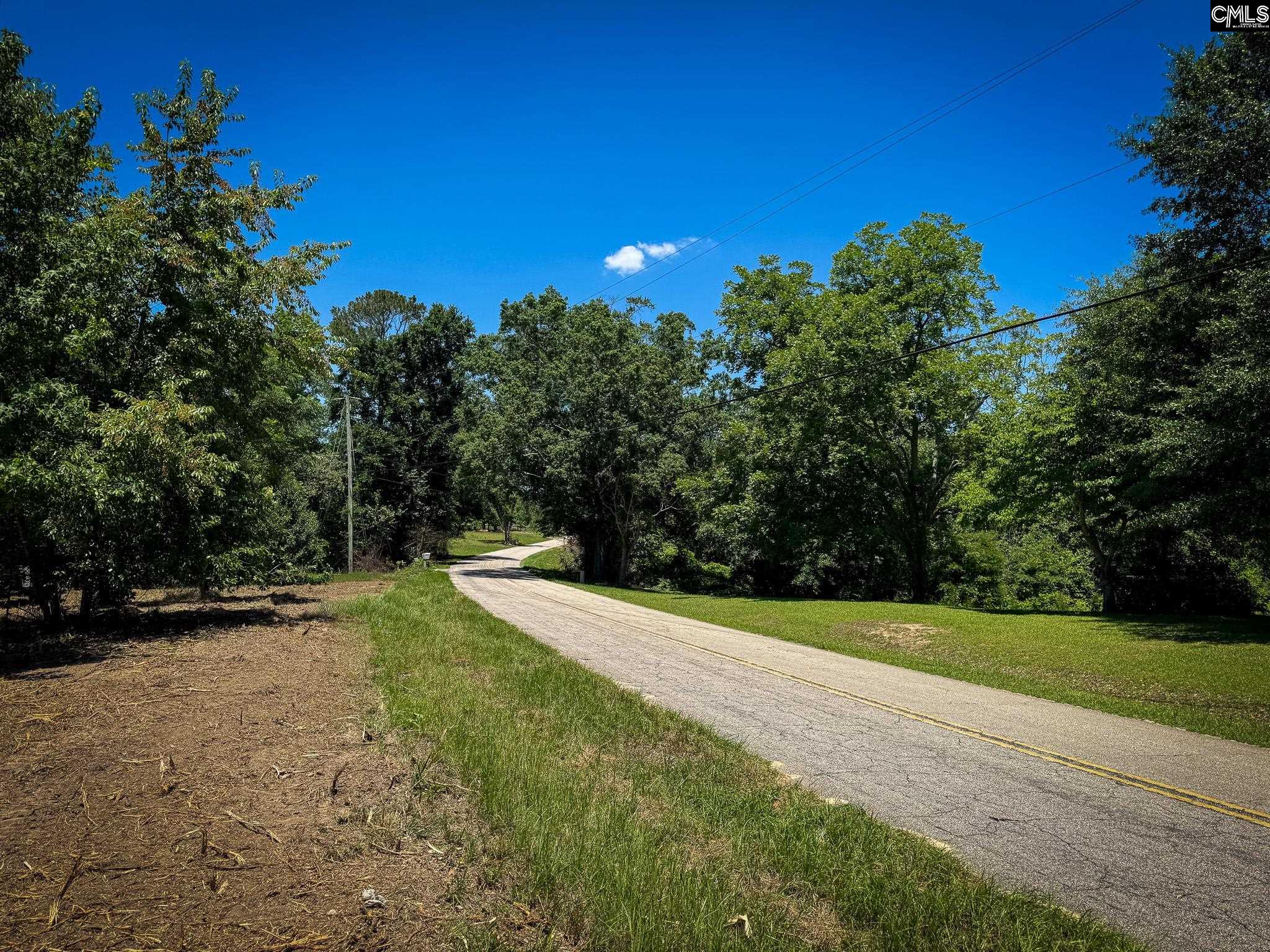 0 South Bethlehem Road, Unit LOT 2 Batesburg, SC 29006 - Photo 5 of 8