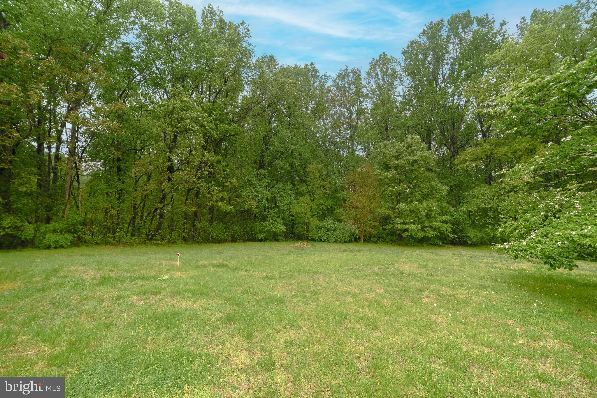 621 Bowie Shop Road Huntingtown, MD 20639 - Photo 10 of 56 Acres of privacy!