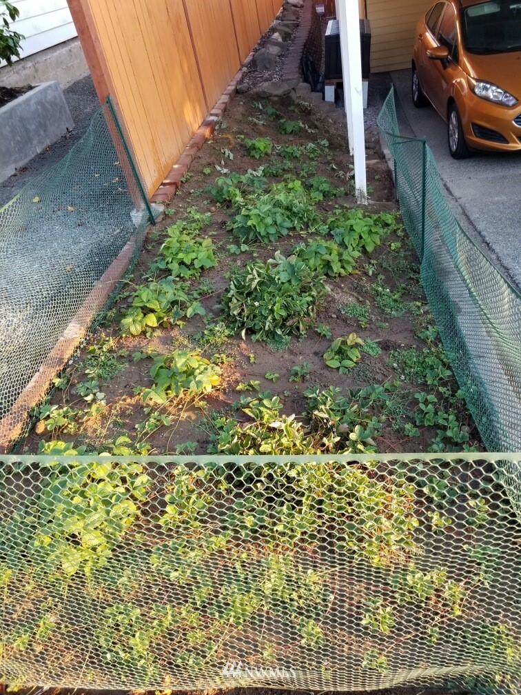 2209 Northeast 8th Street Renton, WA 98056 - Photo 20 of 24 a backyard of a house with lots of green space
