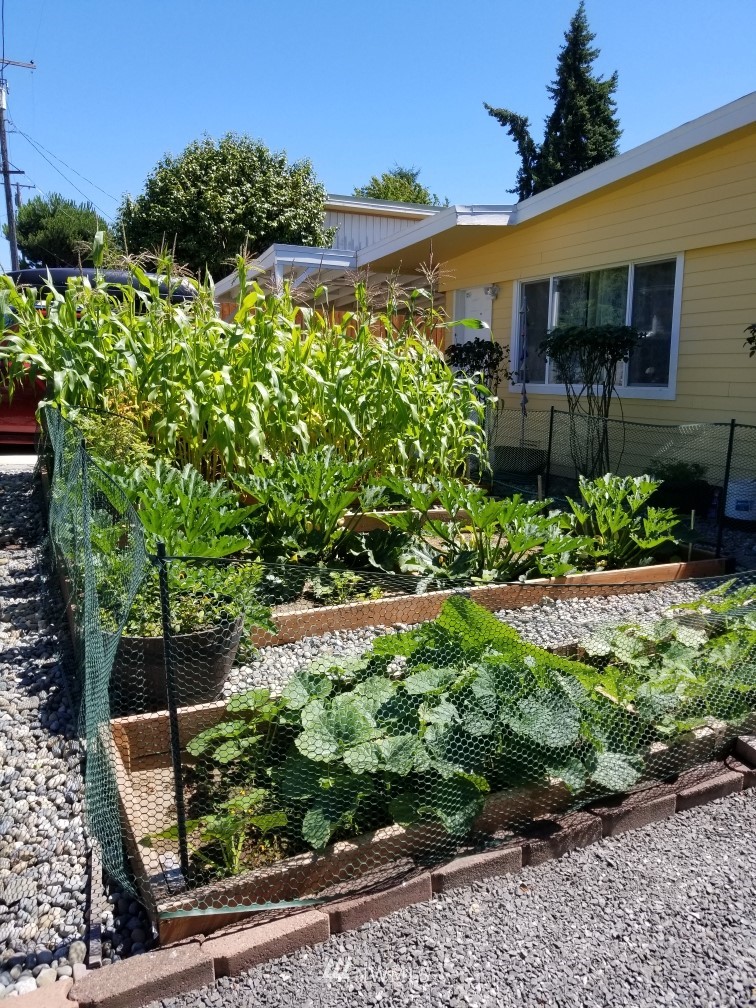2209 Northeast 8th Street Renton, WA 98056 - Photo 23 of 24 a front view of a house with a yard