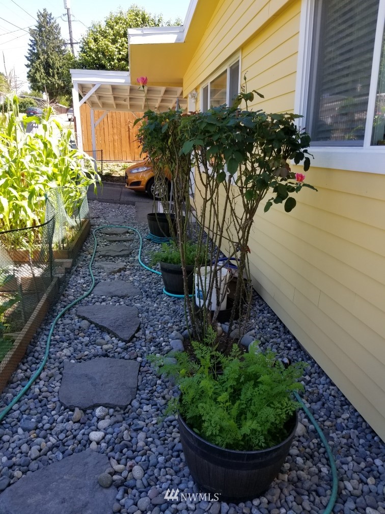 2209 Northeast 8th Street Renton, WA 98056 - Photo 24 of 24 a view of a garden with plants
