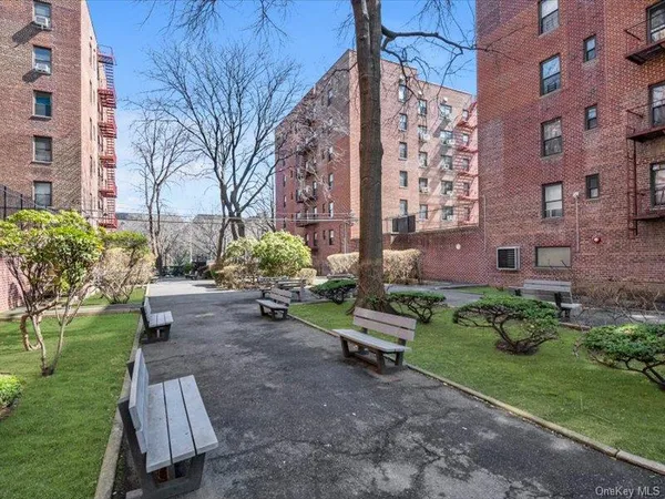 a view of a back yard