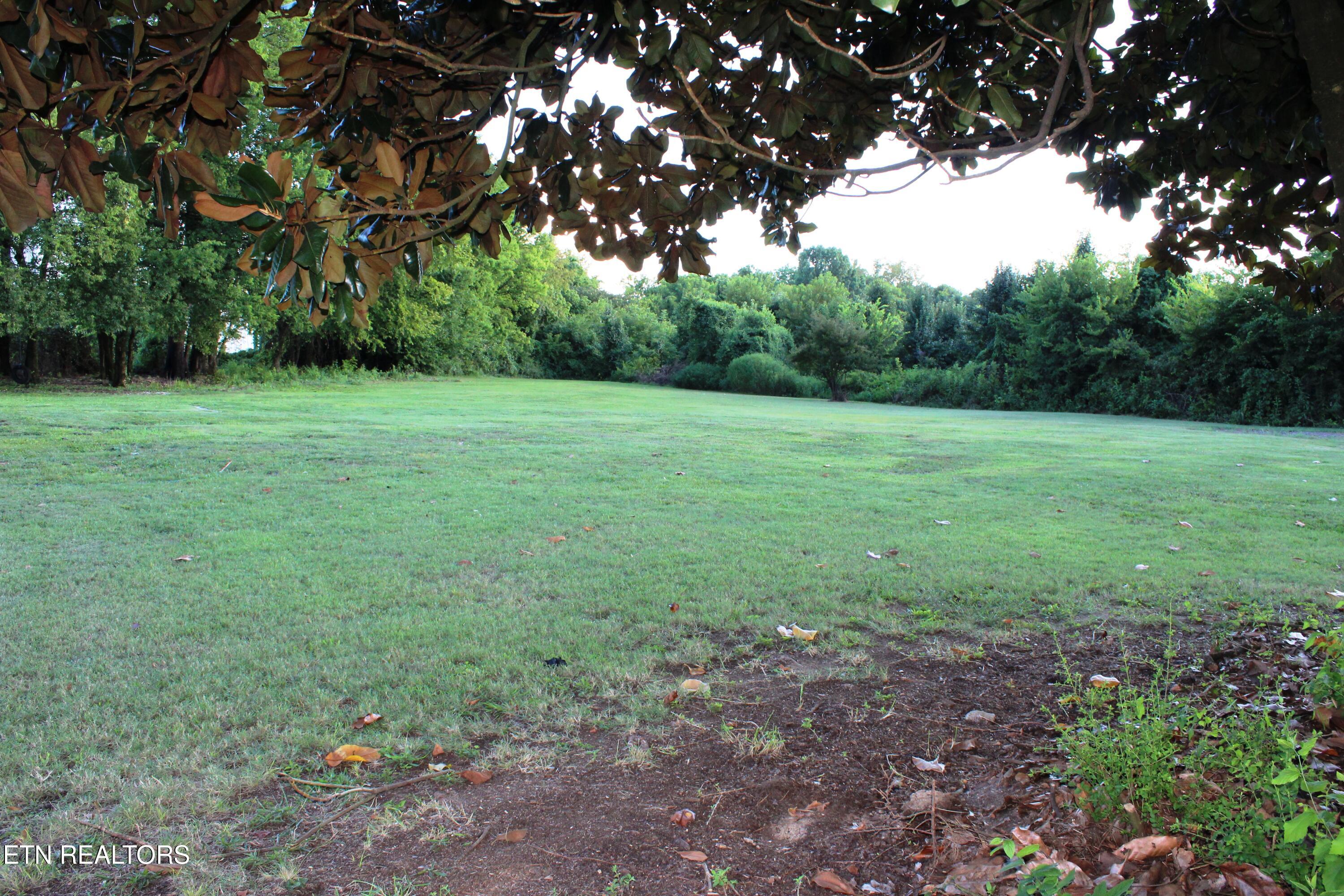 505 Cusick Road Rockford, TN 37853 - Photo 12 of 52 Nice Magnolia Tree