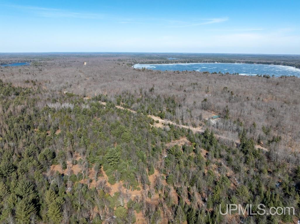 Tbd Dd Road Wetmore, MI 49895 - Photo 7 of 22