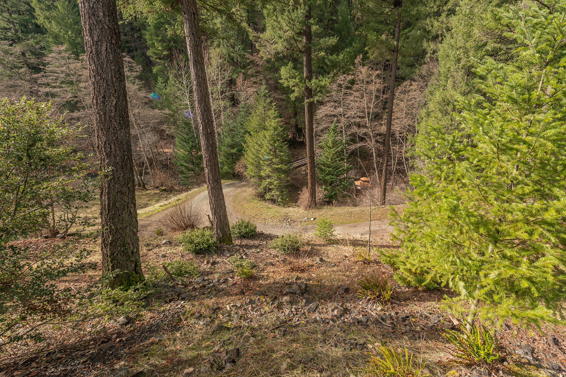 540 Lost Bridge Road Lewiston, CA 96052 - Photo 48 of 67 DSC_5703
