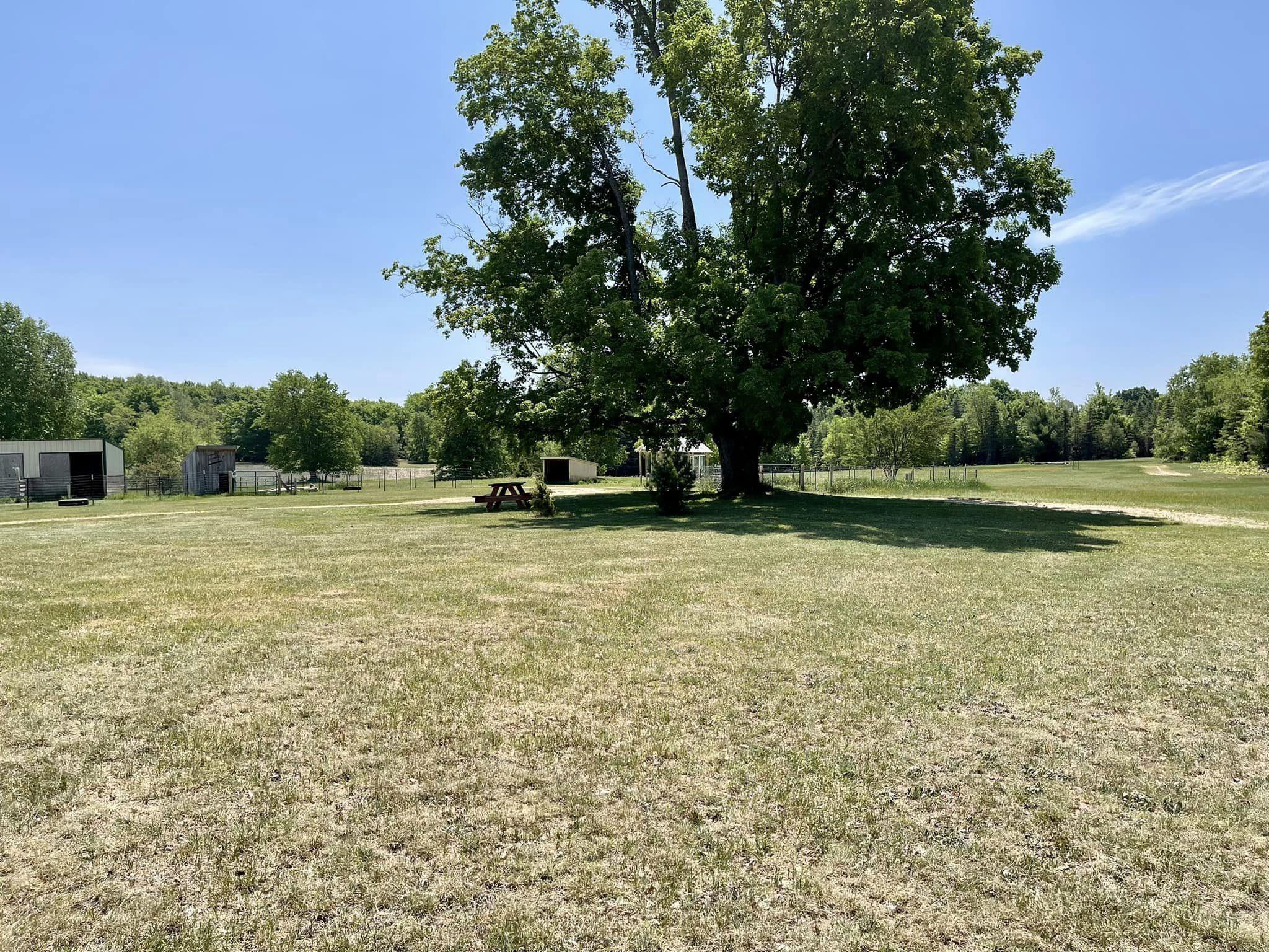 362 East 32 Road Boon, MI 49618 - Photo 60 of 69