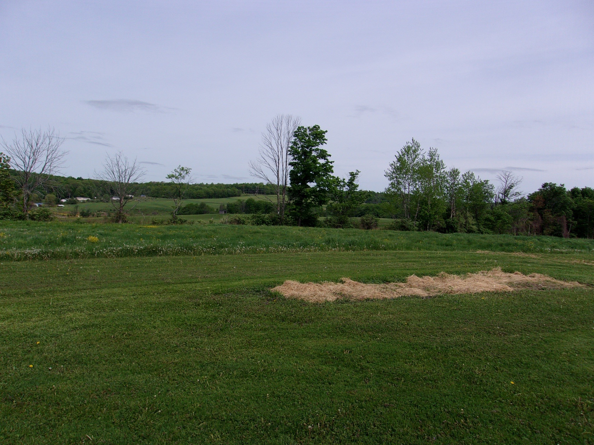 114 Fred Catlin Road Owego, NY 13827 - Photo 8 of 50
