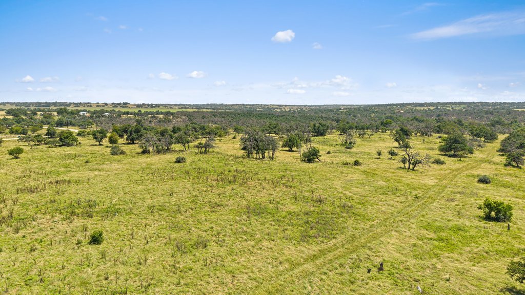 Tbd Reeh Road Fredericksburg, TX 78624 - Photo 10 of 37 Vast green acreage unfolds under an azure sky, dotted with mature trees and offering a serene, private setting.