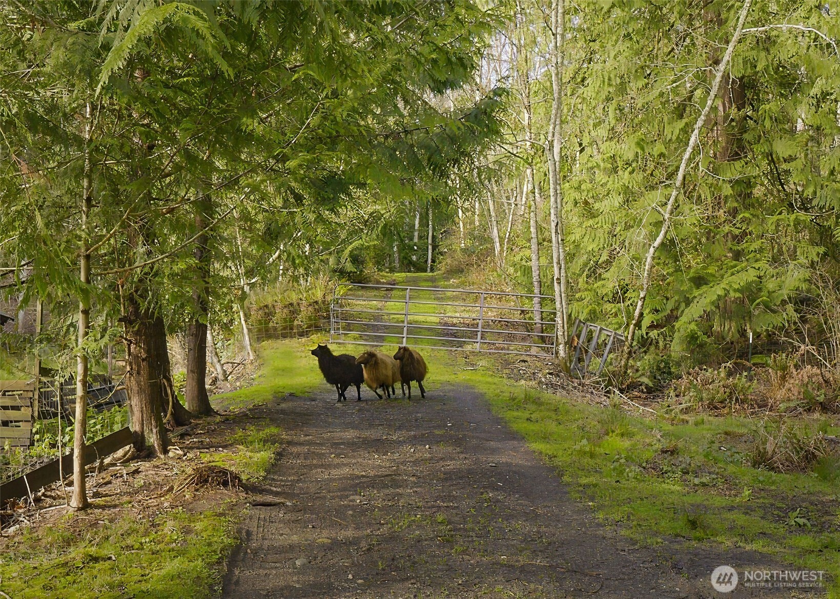 6091 Wilson Creek Road Southeast Port Orchard, WA 98367 - Photo 39 of 40