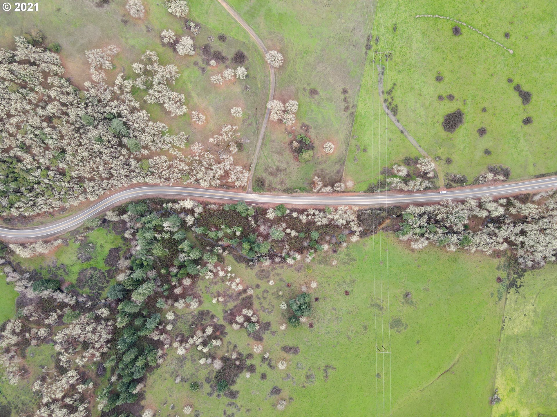 0 Cole Road Oakland, OR 97462 - Photo 4 of 17 Gallery Image 4