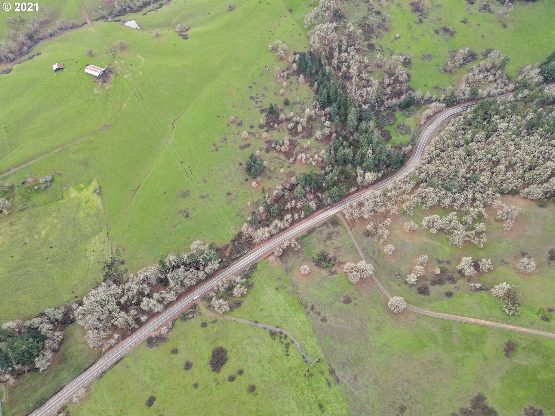 0 Cole Road Oakland, OR 97462 - Photo 8 of 17 Gallery Image 8