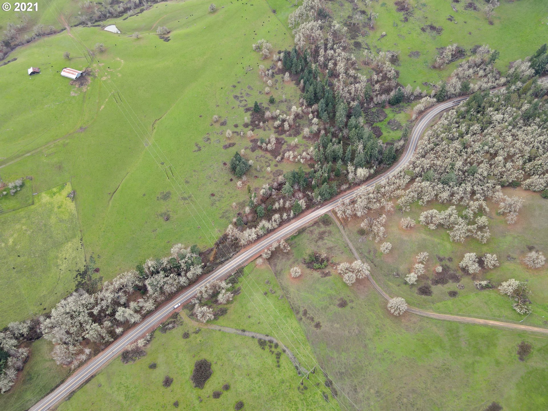 0 Cole Road Oakland, OR 97462 - Photo 9 of 17 Gallery Image 9