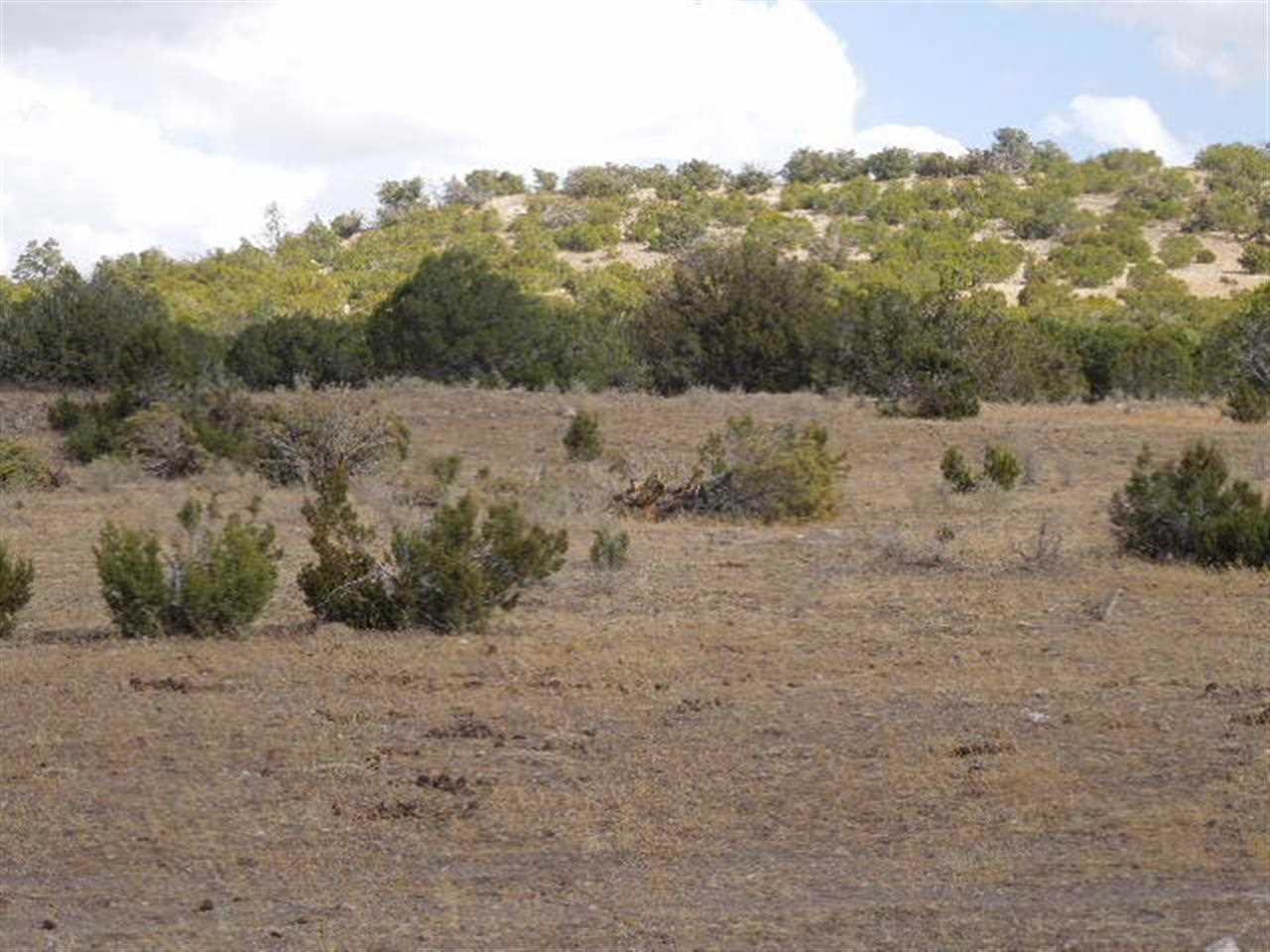 Tbd South River Road Eagar, AZ 85925 - Photo 3 of 8