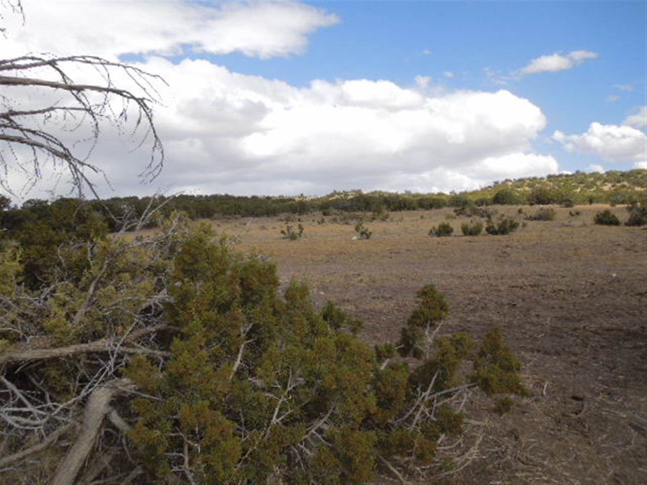 Tbd South River Road Eagar, AZ 85925 - Photo 4 of 8