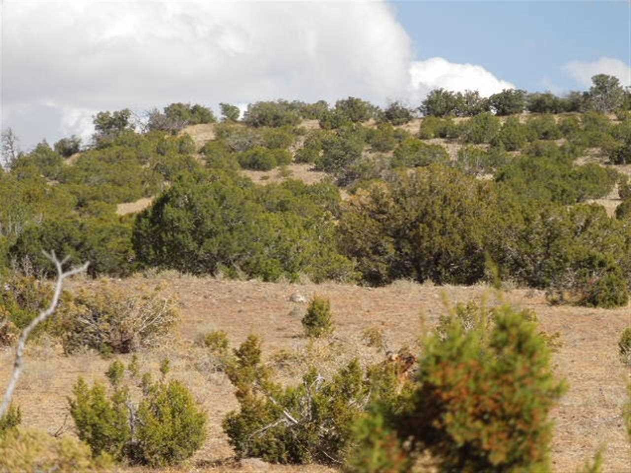 Tbd South River Road Eagar, AZ 85925 - Photo 5 of 8
