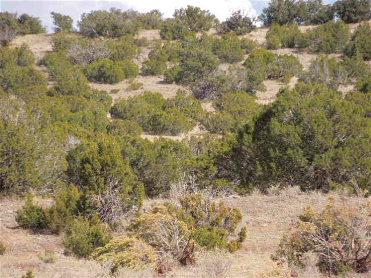 Tbd South River Road Eagar, AZ 85925 - Photo 7 of 8