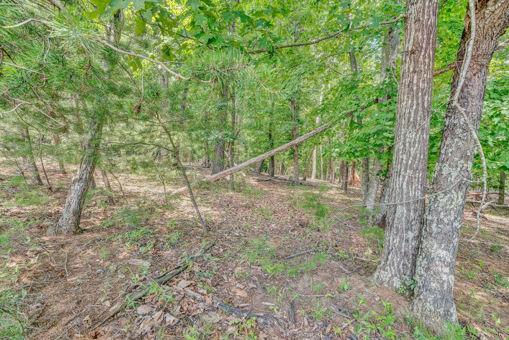 0 Ivyland Road Roanoke, VA 24014 - Photo 12 of 15 IMG_0201