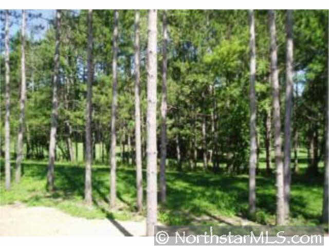 W940 Silver Fox Drive Spring Valley, WI 54767 - Photo 3 of 7
