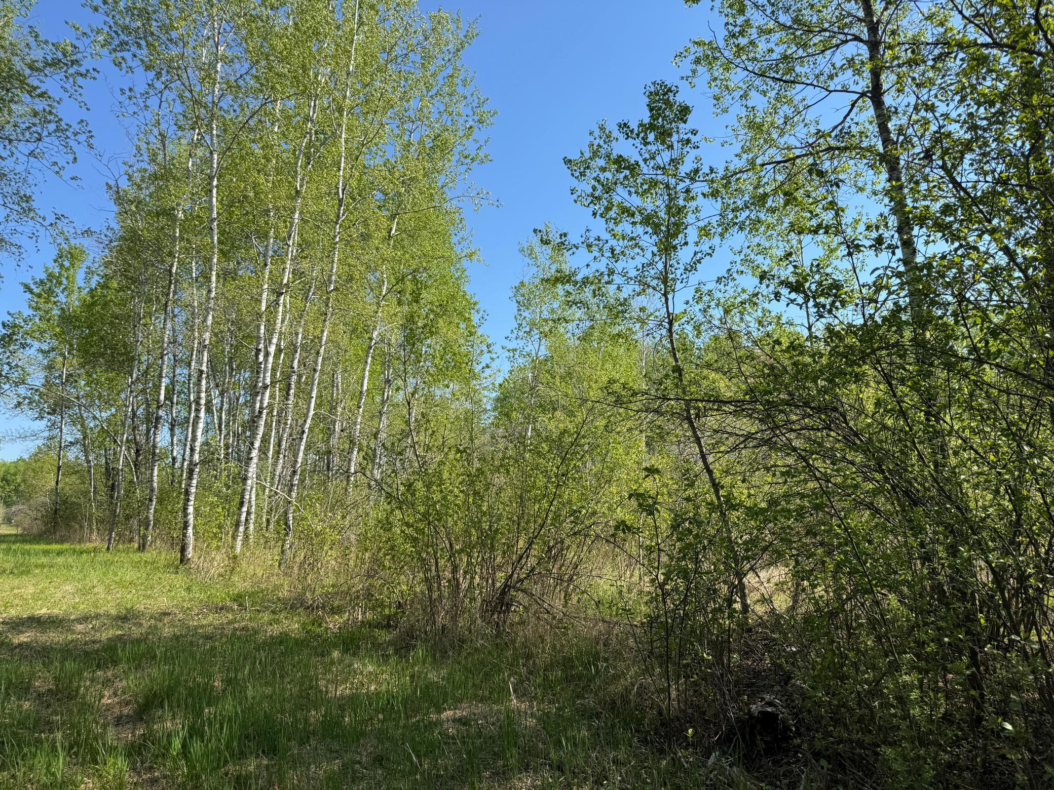Tbd Skog Road Kettle River, MN 55757 - Photo 13 of 22